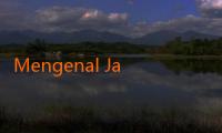 Mengenal JalaLive Channel: Inovasi Baru dalam Dunia Streaming dan Hiburan Digital