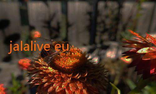 jalalive euro-Temukan Hiburan Tanpa Batas dengan Download APK JalaLive